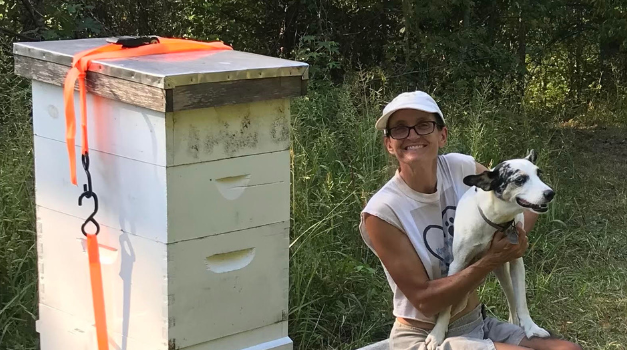 Presentation to offer tips on home beekeeping