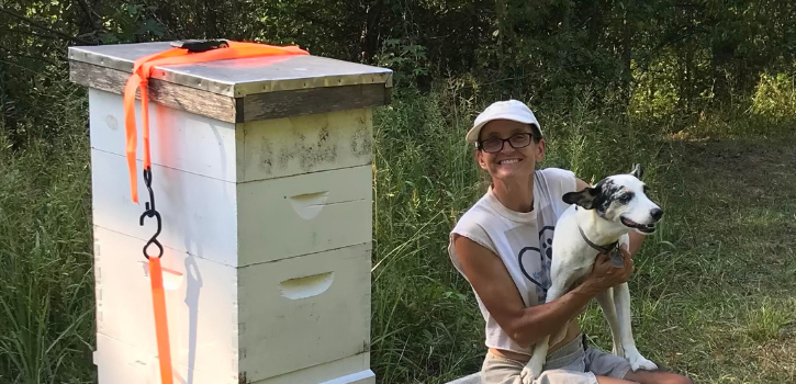 Presentation to offer tips on home beekeeping