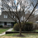 Say “Goodbye” to 21 Old Hill Farms Road