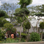 Garden tour: TideBrook Garden