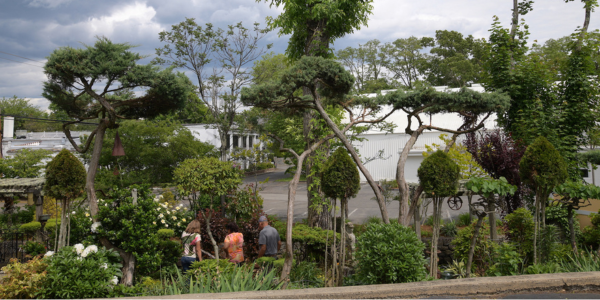 Garden tour: TideBrook Garden