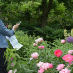 Spring garden tour: Prospect Gardens Westport