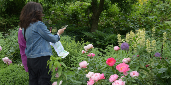 Spring garden tour: Prospect Gardens Westport