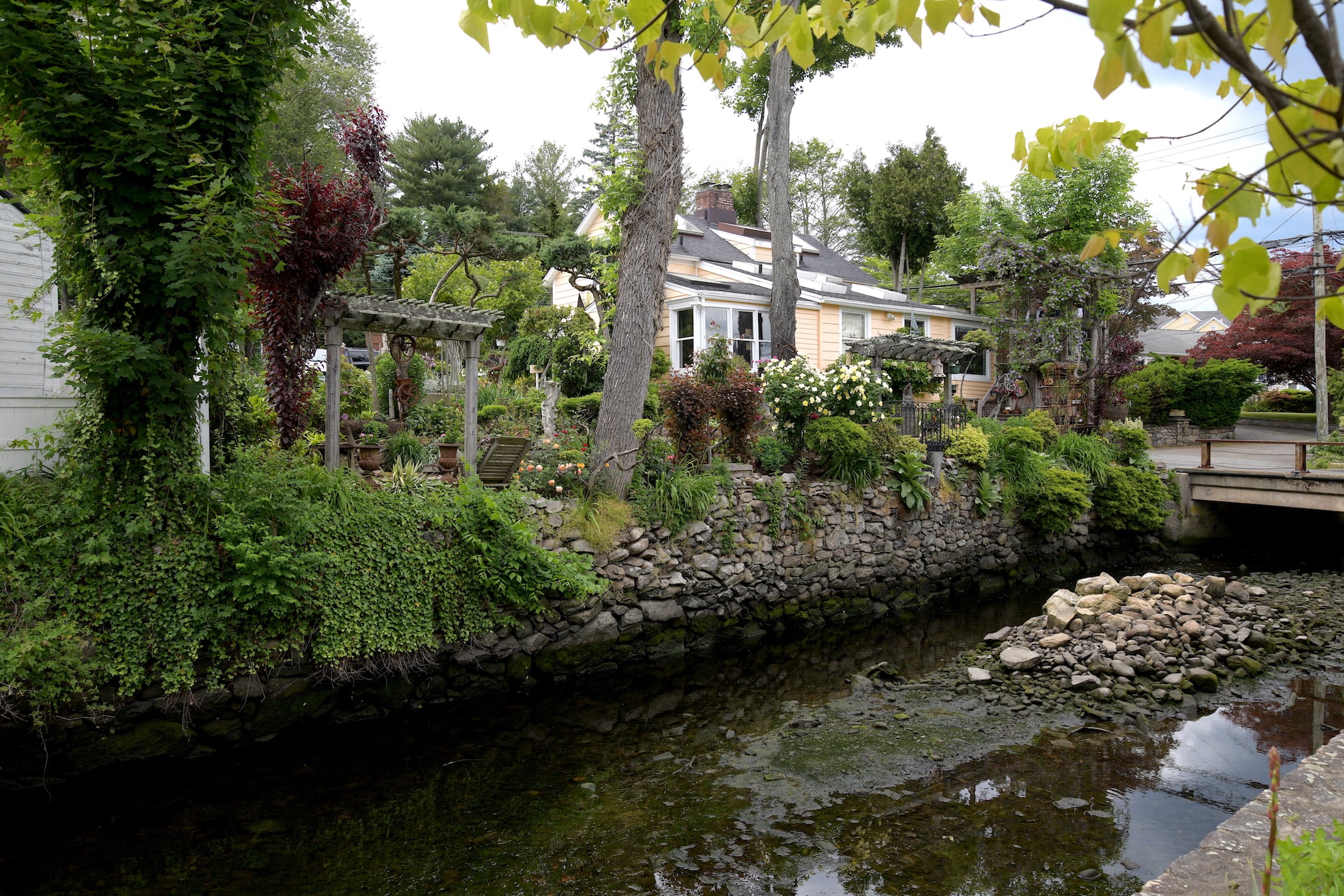 View of rear or property from across the brook