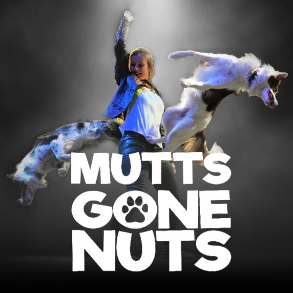 Mutts Gone Nuts - Image WCP