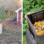 Cultivating with Kerri: Composting 101