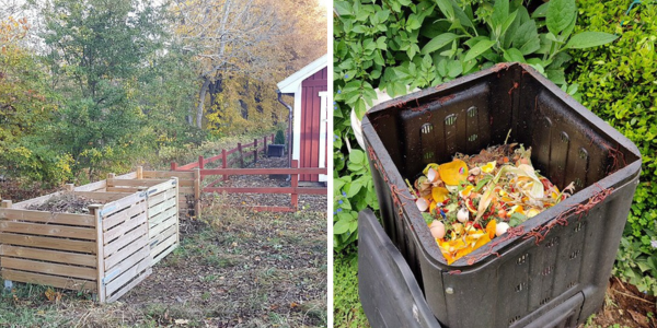Cultivating with Kerri: Composting 101
