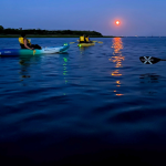 “Buck” moon kayak trip to Saugatuck Harbor planned for Wednesday