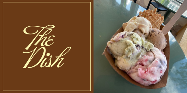 The Dish: MOMU Ice Cream