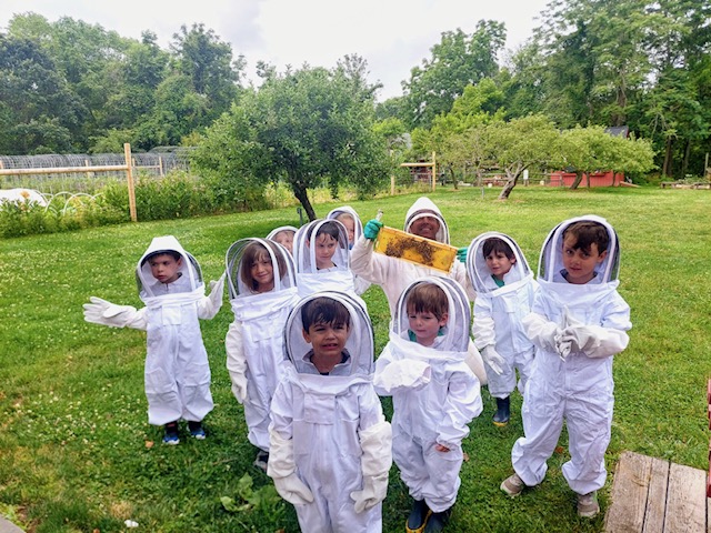 Some of the bee-loving kids at WTF - Photo Jaime Smith