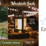 Autumn and raptors descend on Earthplace