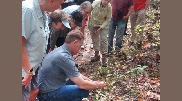 Fall naturalist training program returning to CT Audubon