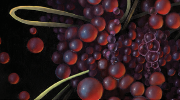 Norwalk Art Space to debut exhibition that celebrates the art of nourishment