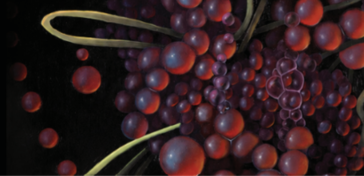 Norwalk Art Space to debut exhibition that celebrates the art of nourishment