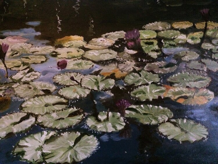 Gregg Ziebell lilies- Contributed photo