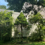 Say “Goodbye” to 4 Pin Oak Court 