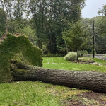 Sept. 13 storm an official disaster; SBA offers help for Westporters