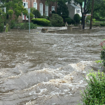 Downtown Wetport
