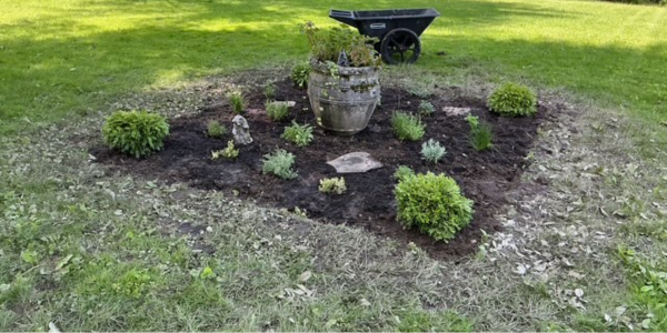 Kerri Williams' new herb garden, May 2026 - Photo Kerri Williams