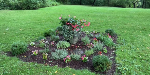 Cultivating With Kerri: Lessons learned in the garden