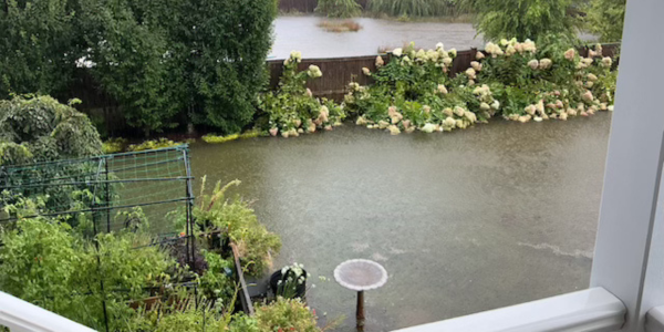 Nathalie Fonteyne’s Fairfield garden under 18 inches of water following the flooding rains this week - Contributed photo