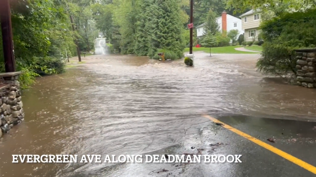 Evergreen Avenue, September 13, 2026 - Video Jennifer Johnson