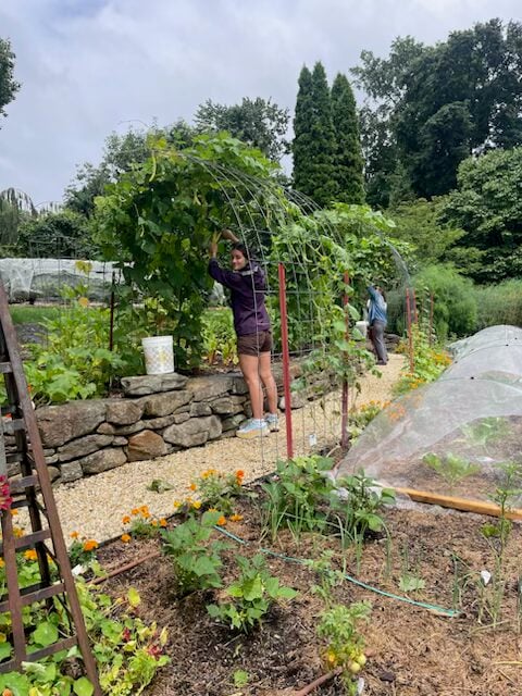Growing Gardener Malena Tortorella at work at Prospect Gardens - Contributed photo