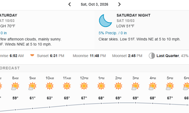 Saturday is buzzing with activities